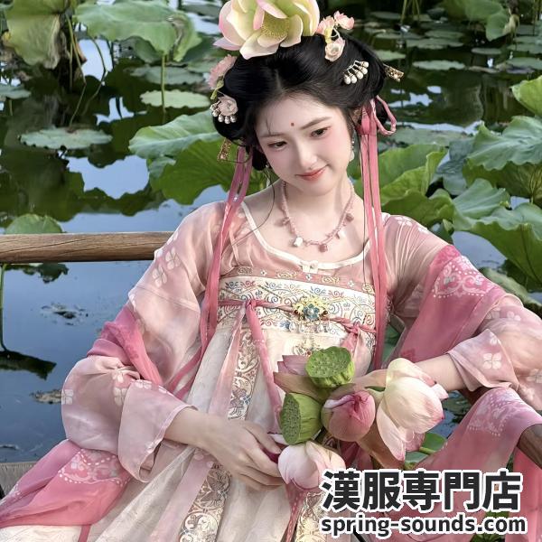 唐制漢服 レディース漢服 远山乔【点绛荷】